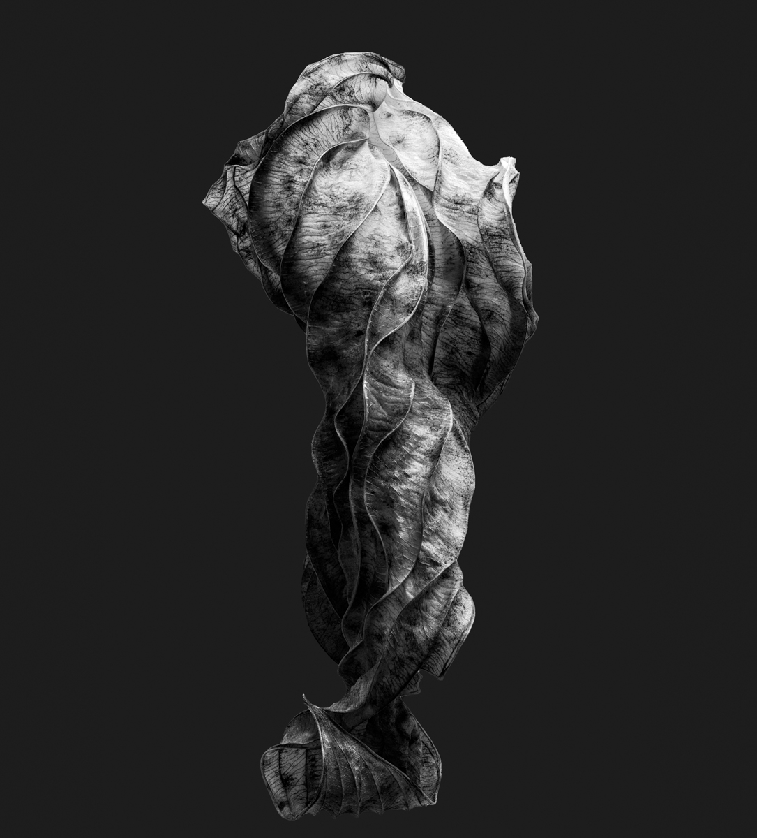 Second Creation, Entities