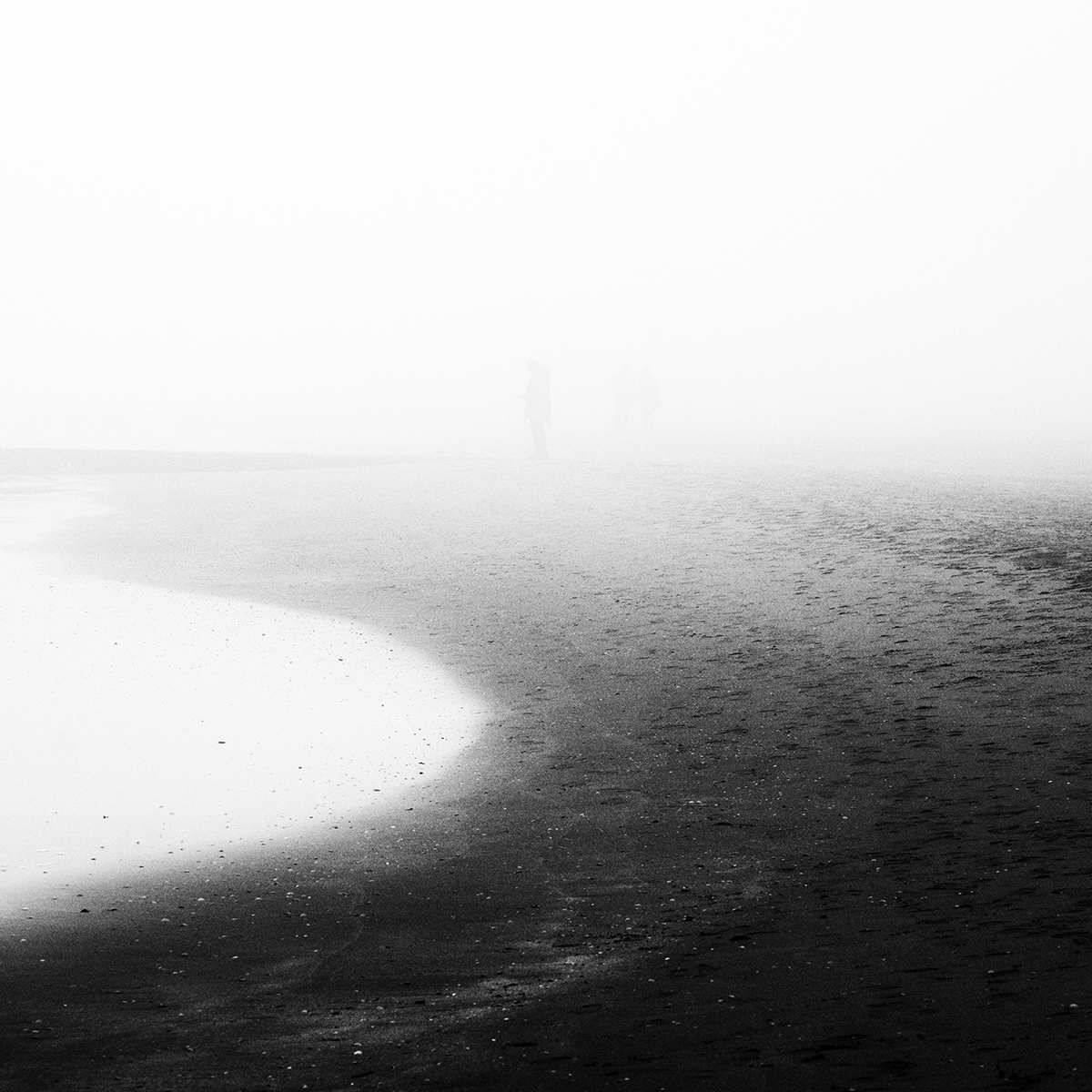 SHORELINE - projections of a state of mood