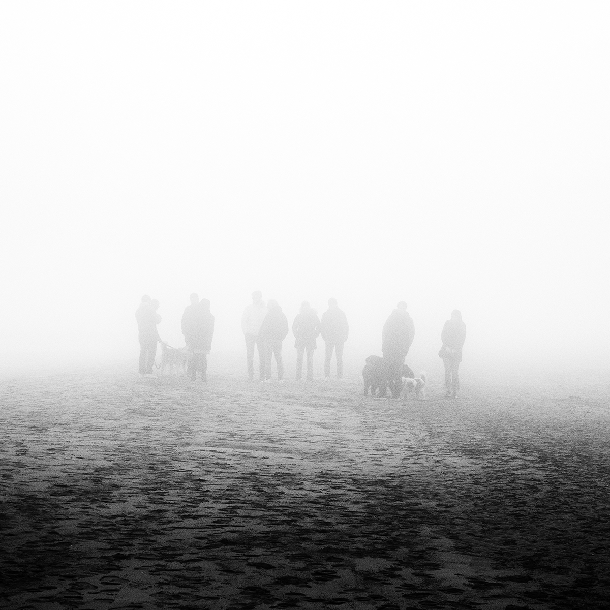 SHORELINE - projections of a state of mood