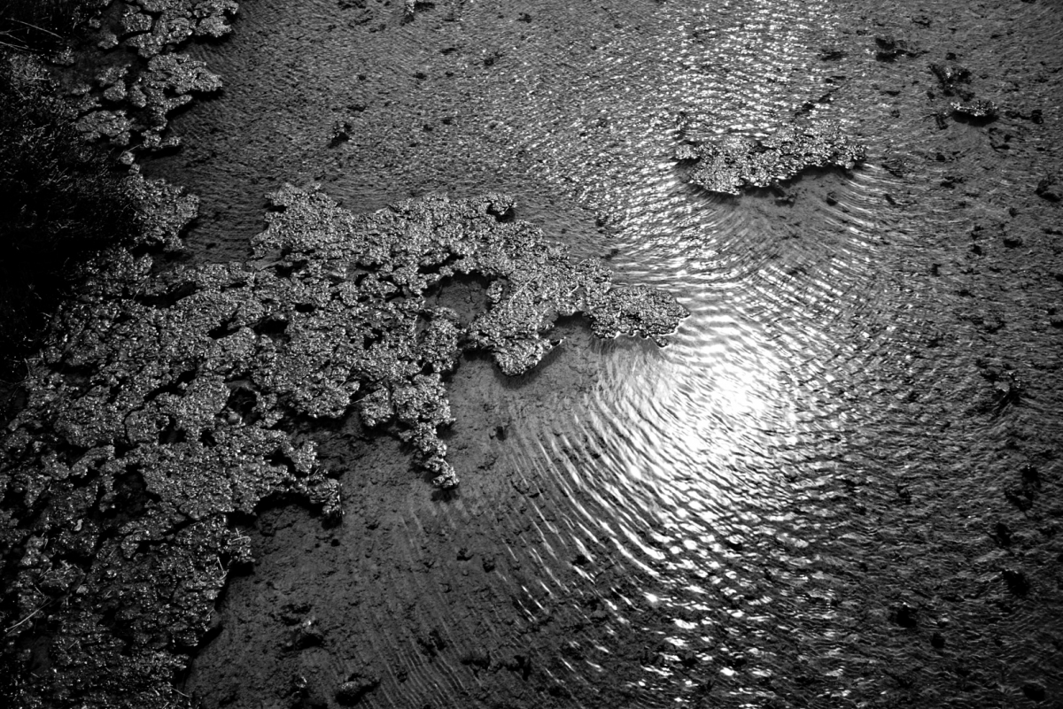 Crystallized Silence
