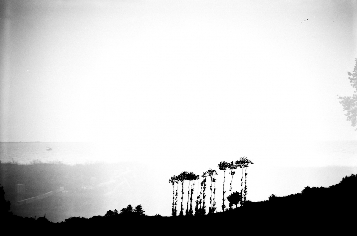 Imaginarium
