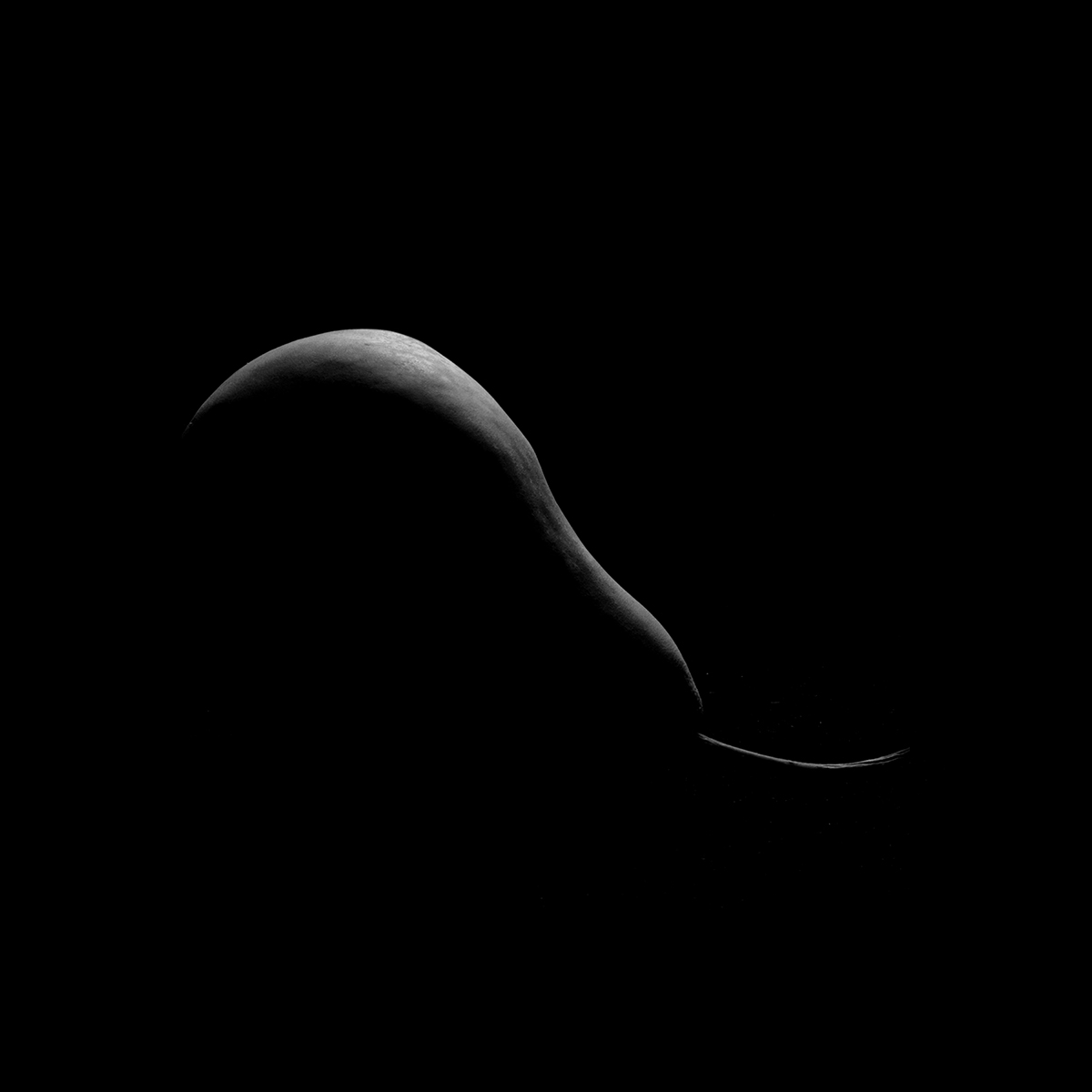 Moonlit Yield