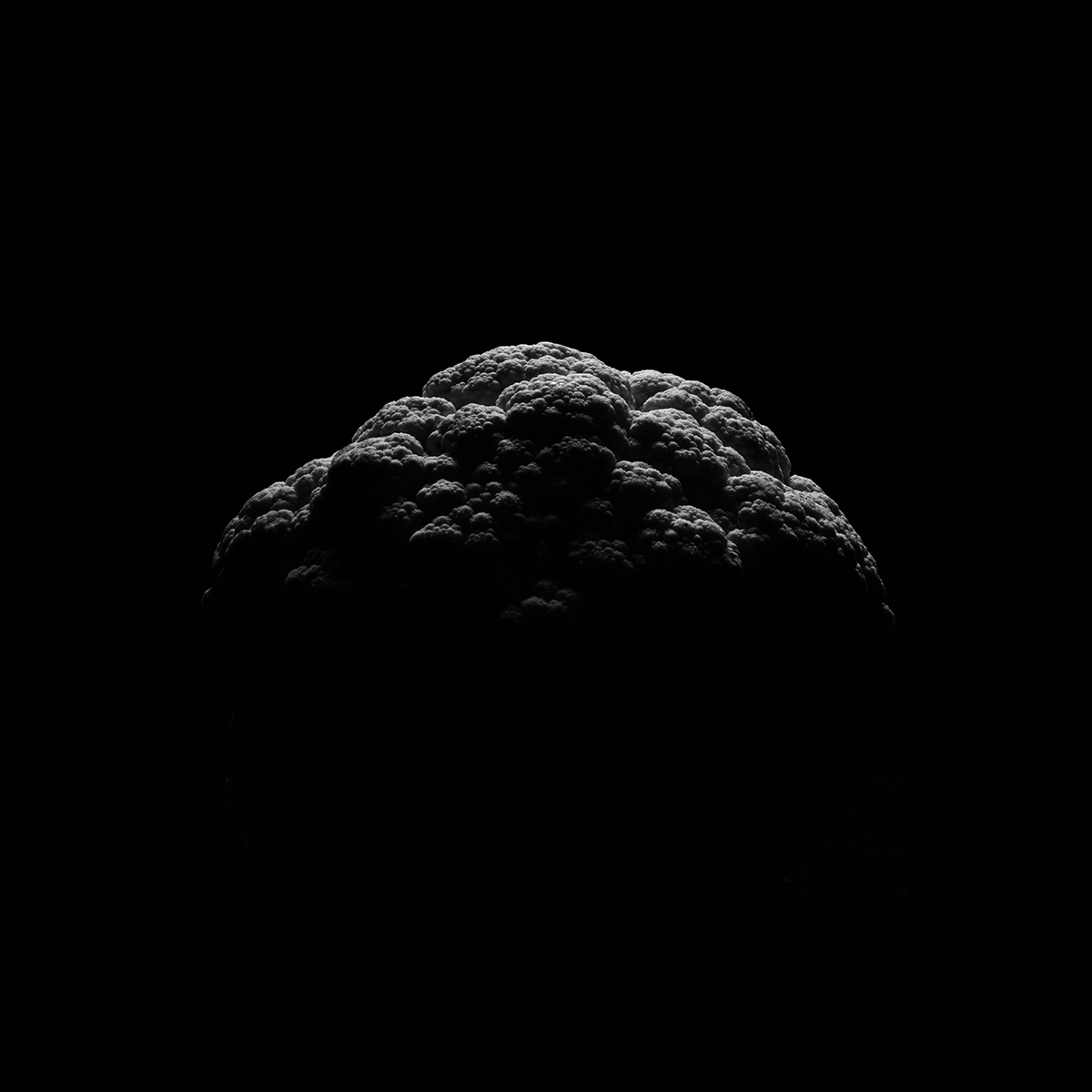 Moonlit Yield