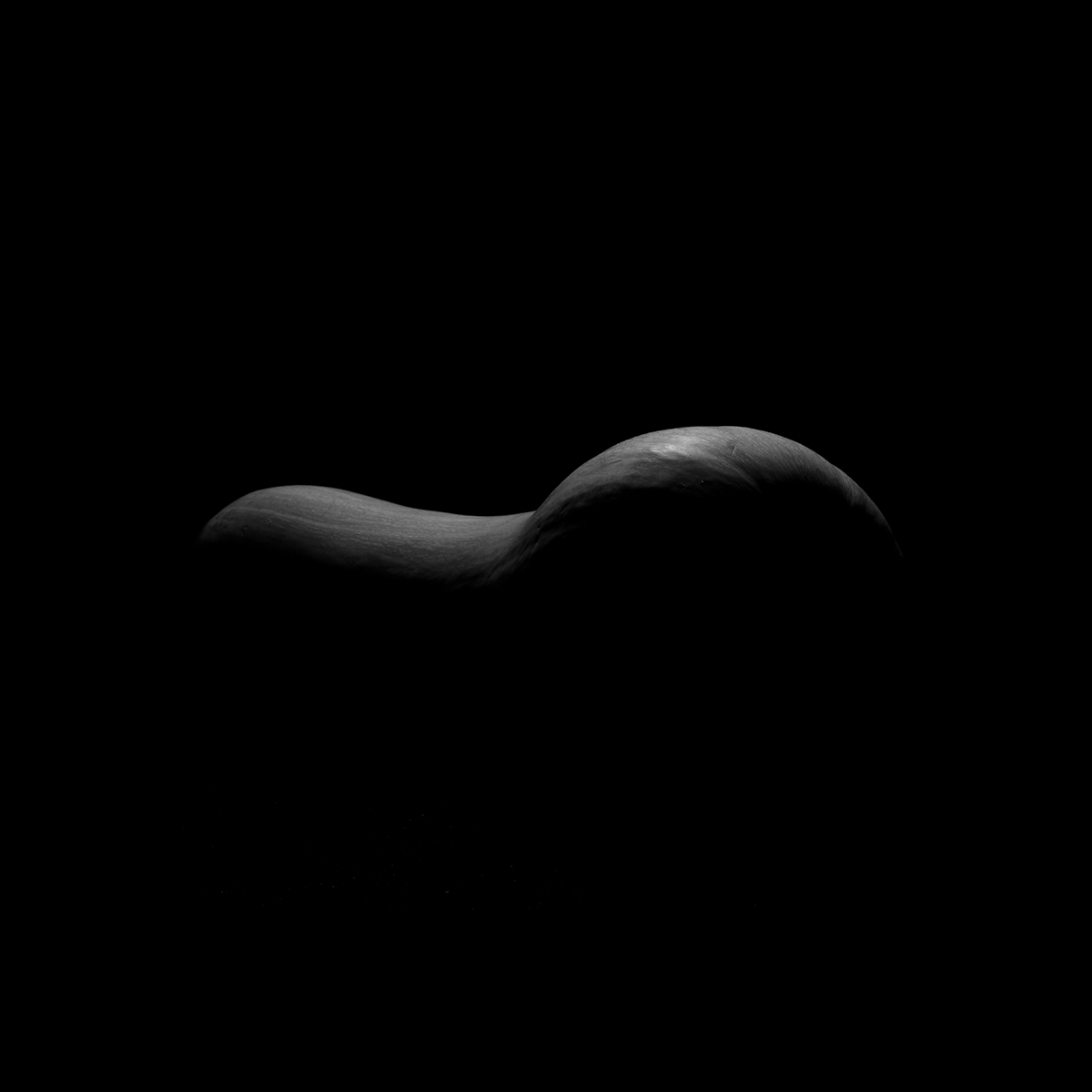 Moonlit Yield
