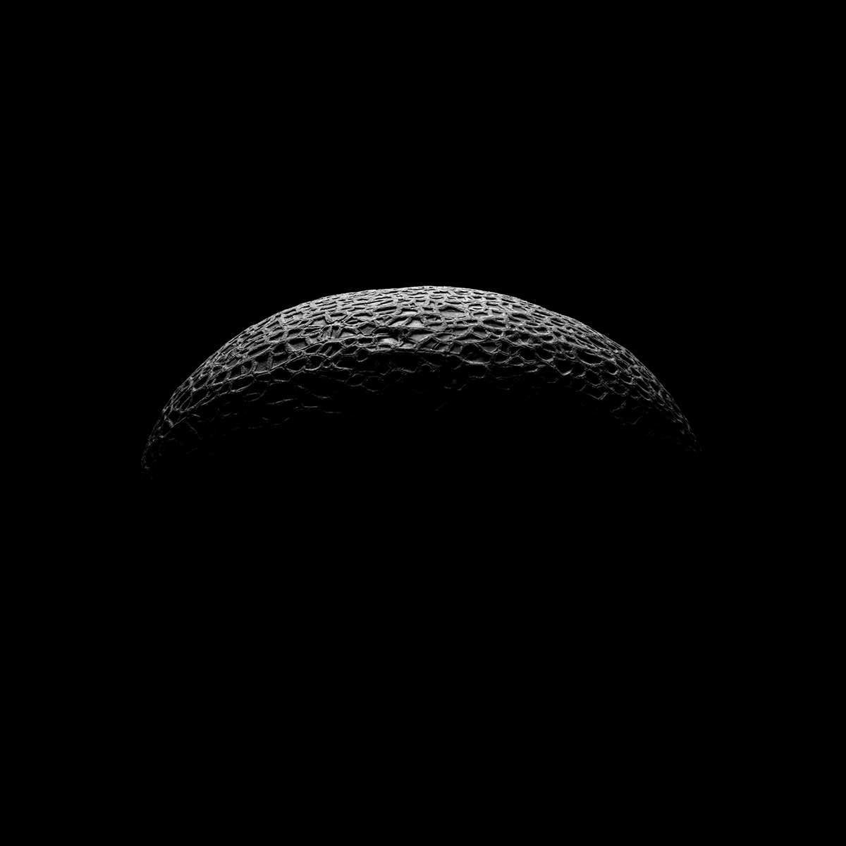Moonlit Yield