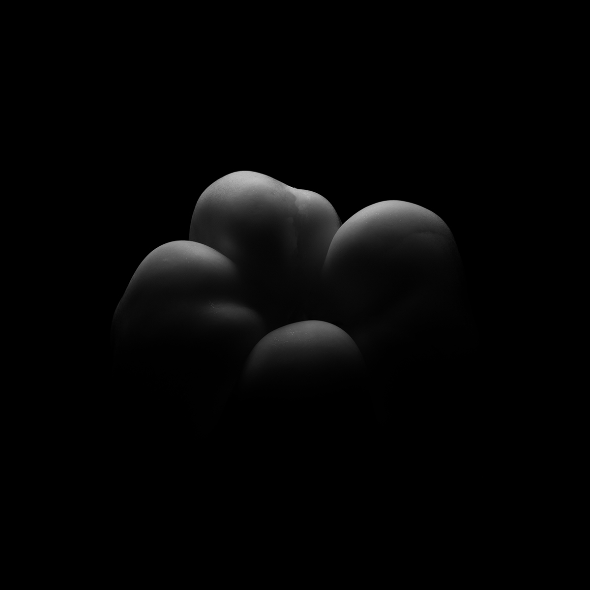 Moonlit Yield