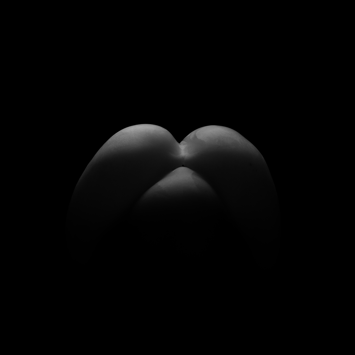 Moonlit Yield