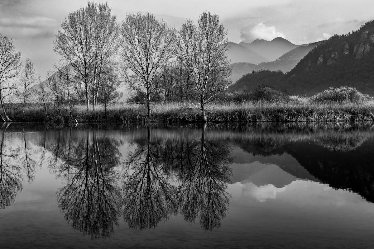 The quiet of the river