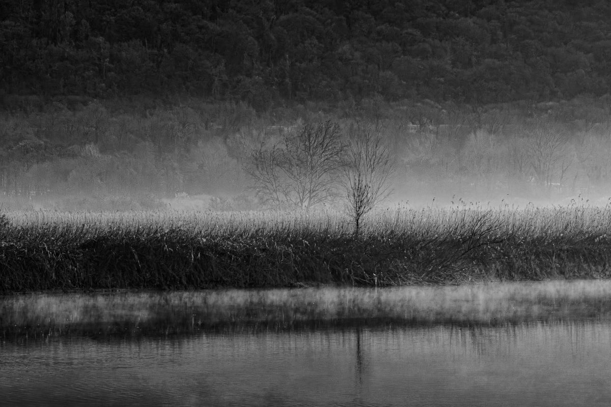 The quiet of the river