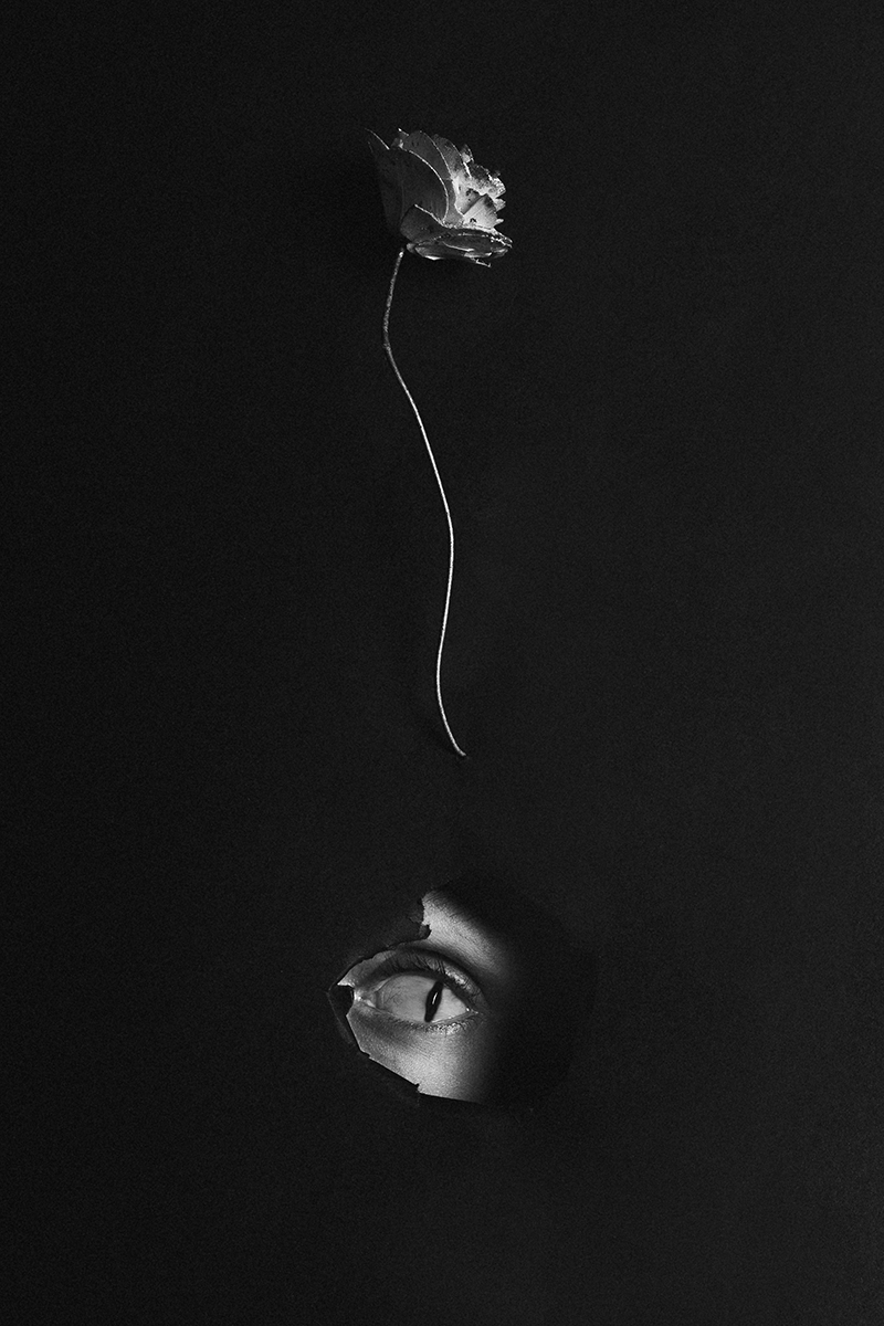 Emergence of the unknown 