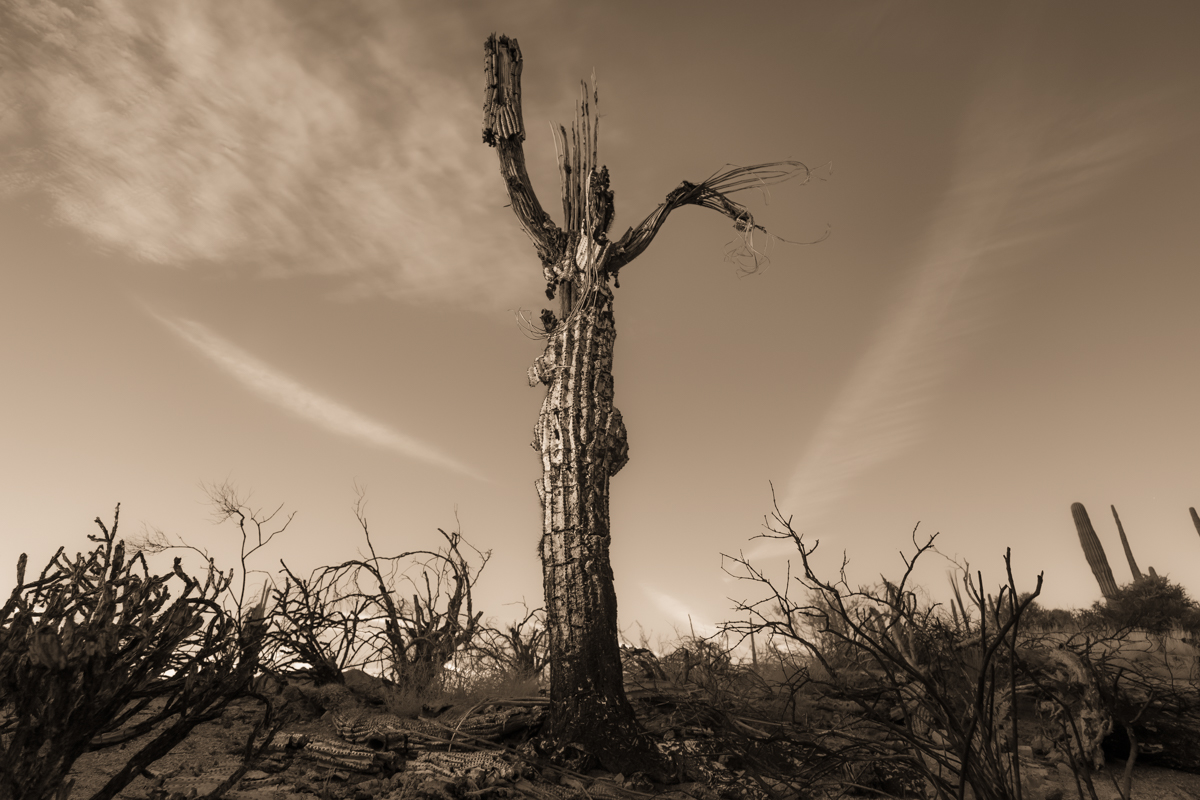 Still Standing