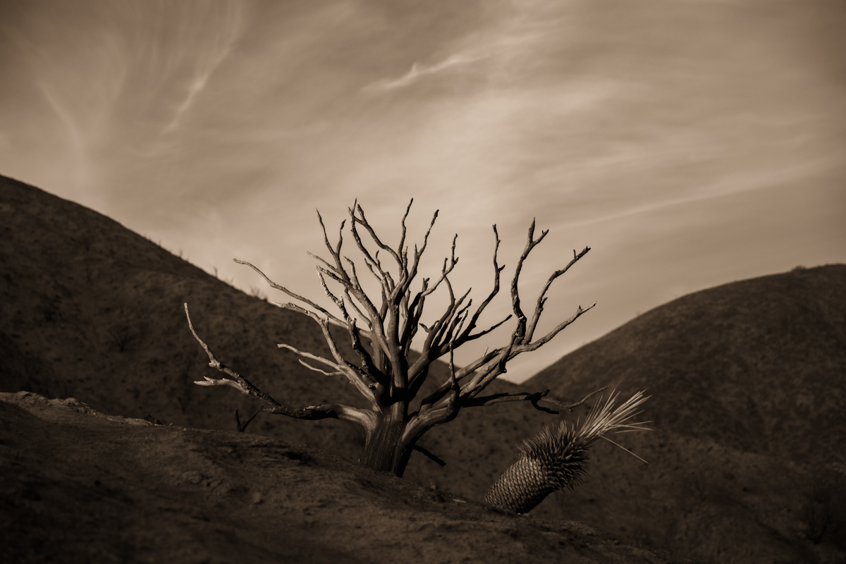 Still Standing