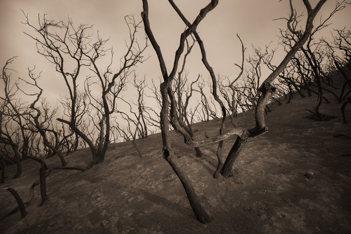Still Standing