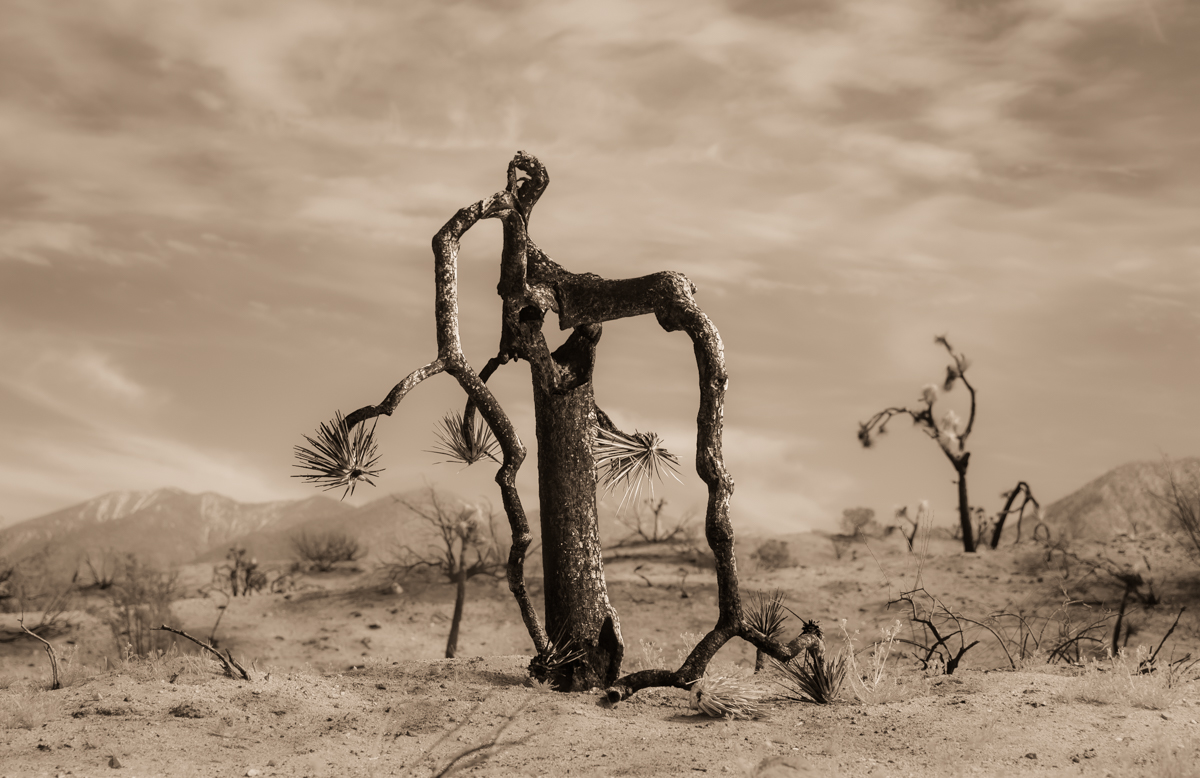 Still Standing