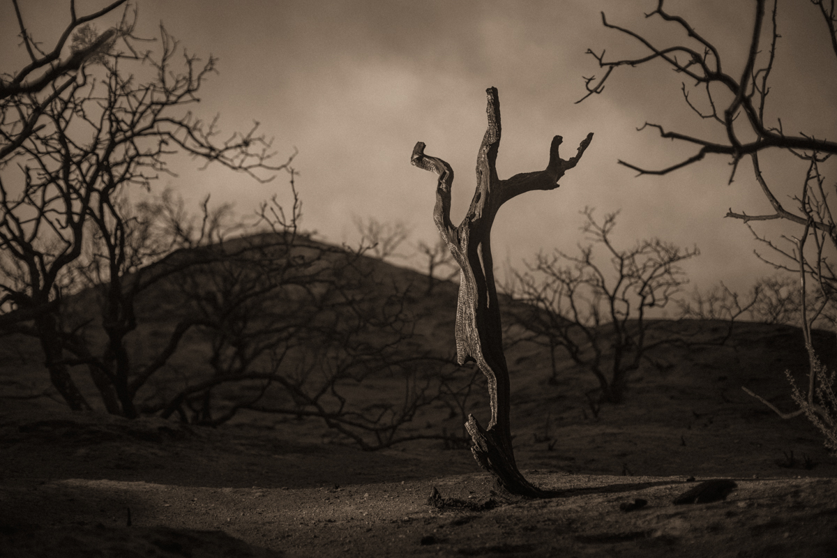 Still Standing