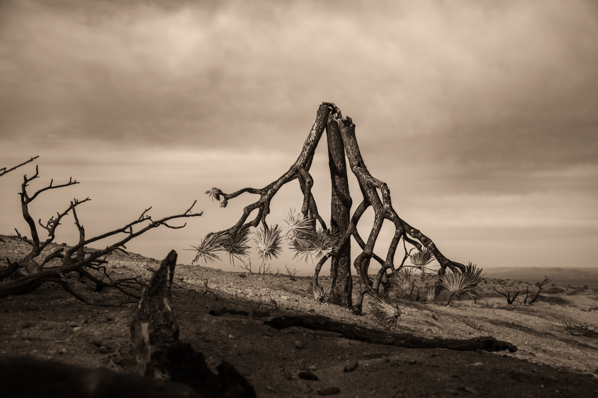 Still Standing