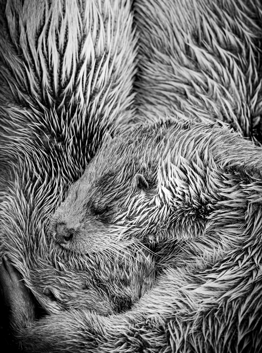 Interwoven 