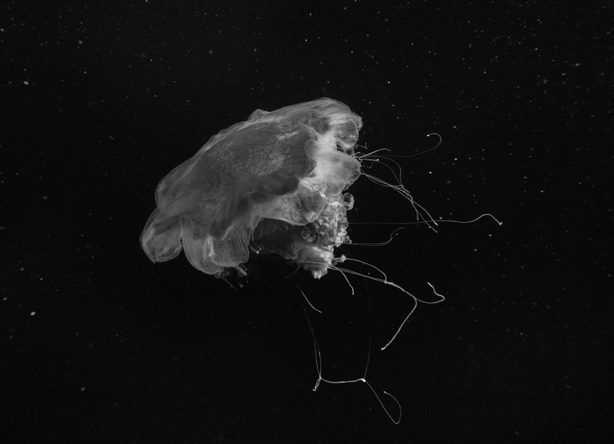 Unknown satellite
