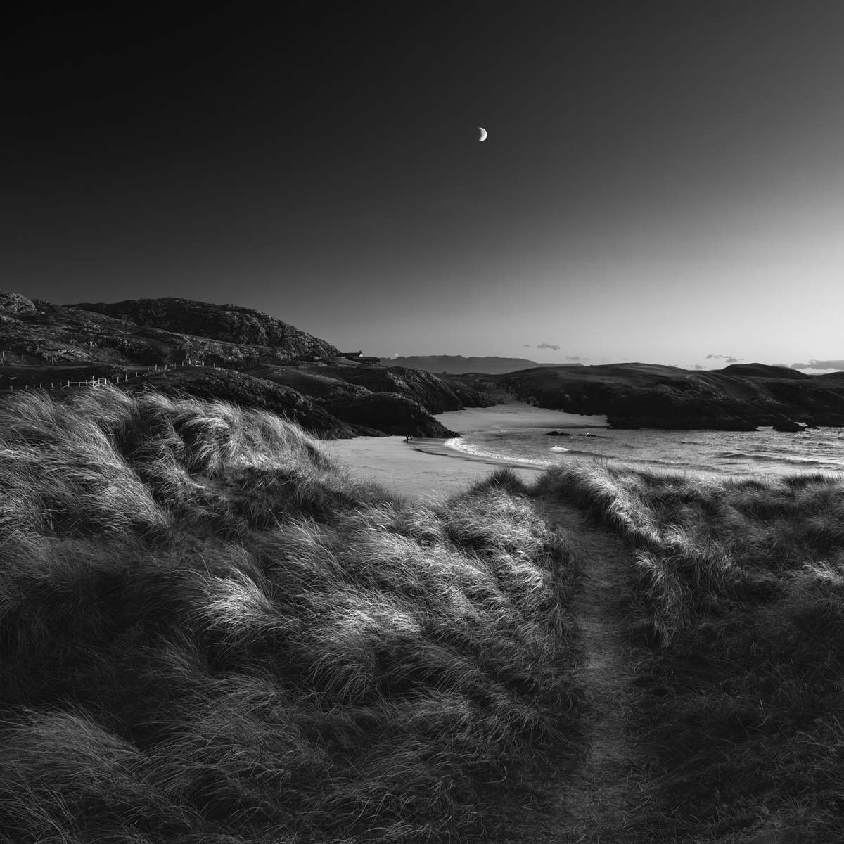 Moon Rising