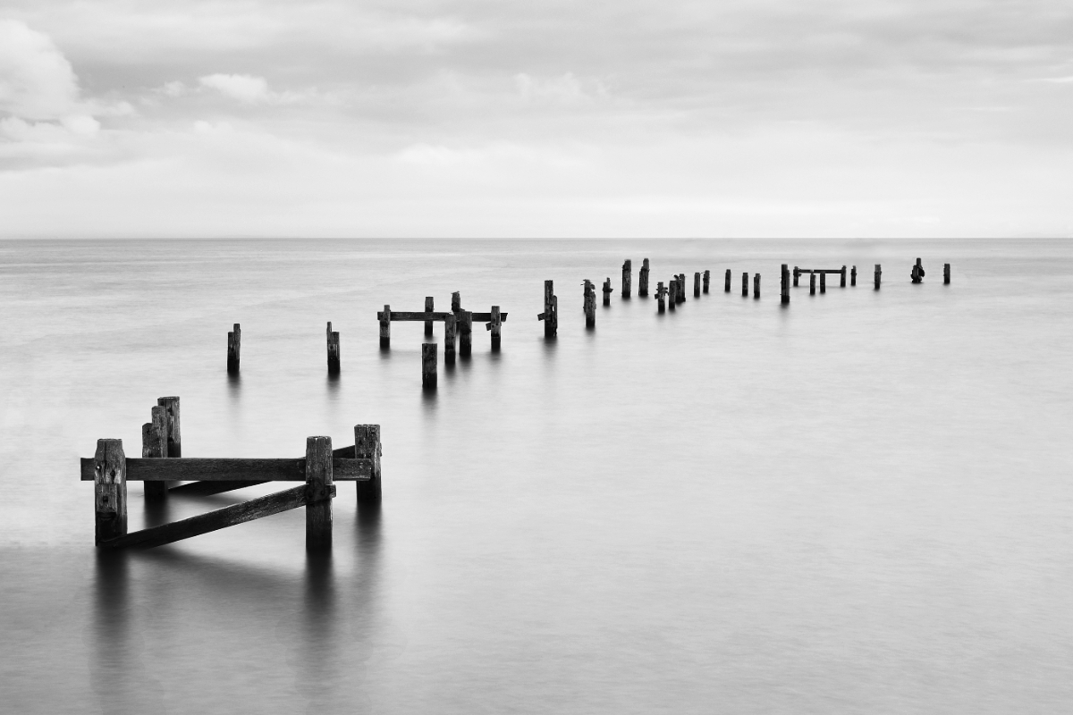 Coastal Contrasts
