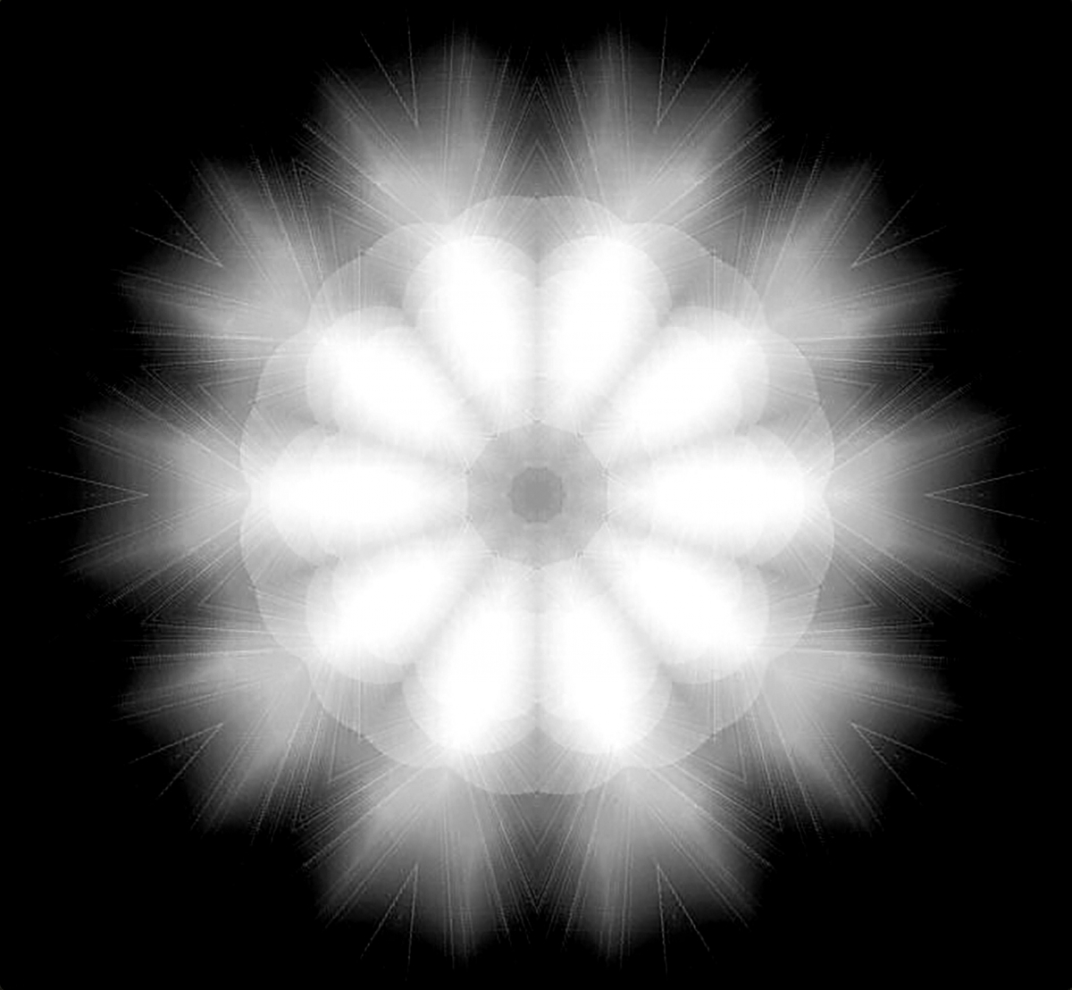 Dandelions
