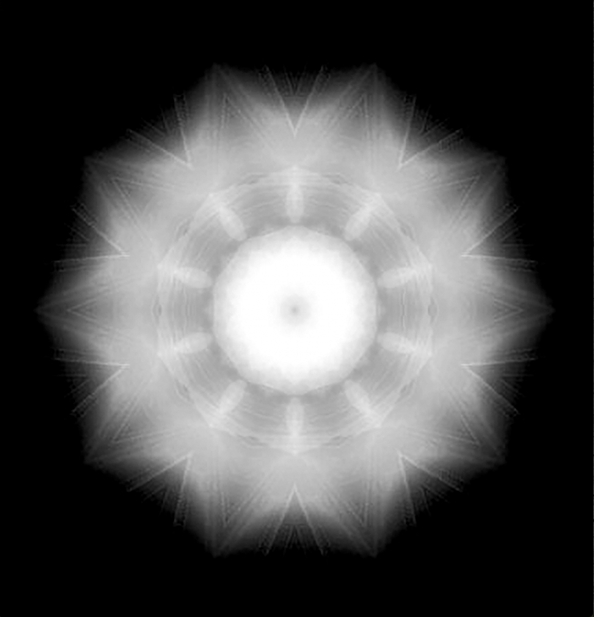 Dandelions