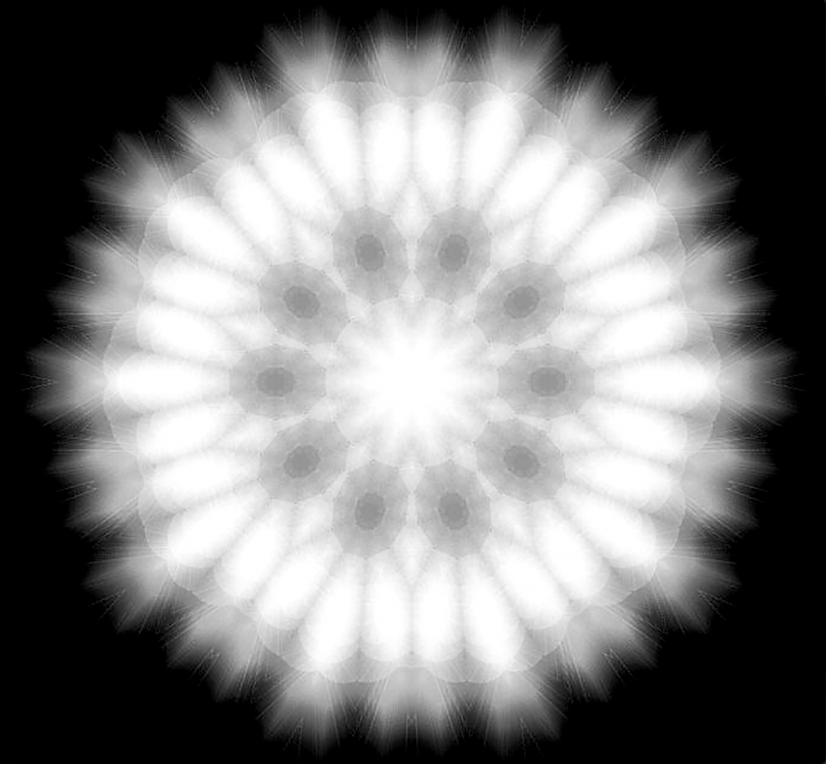 Dandelions