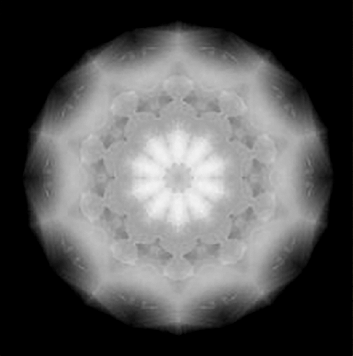 Dandelions