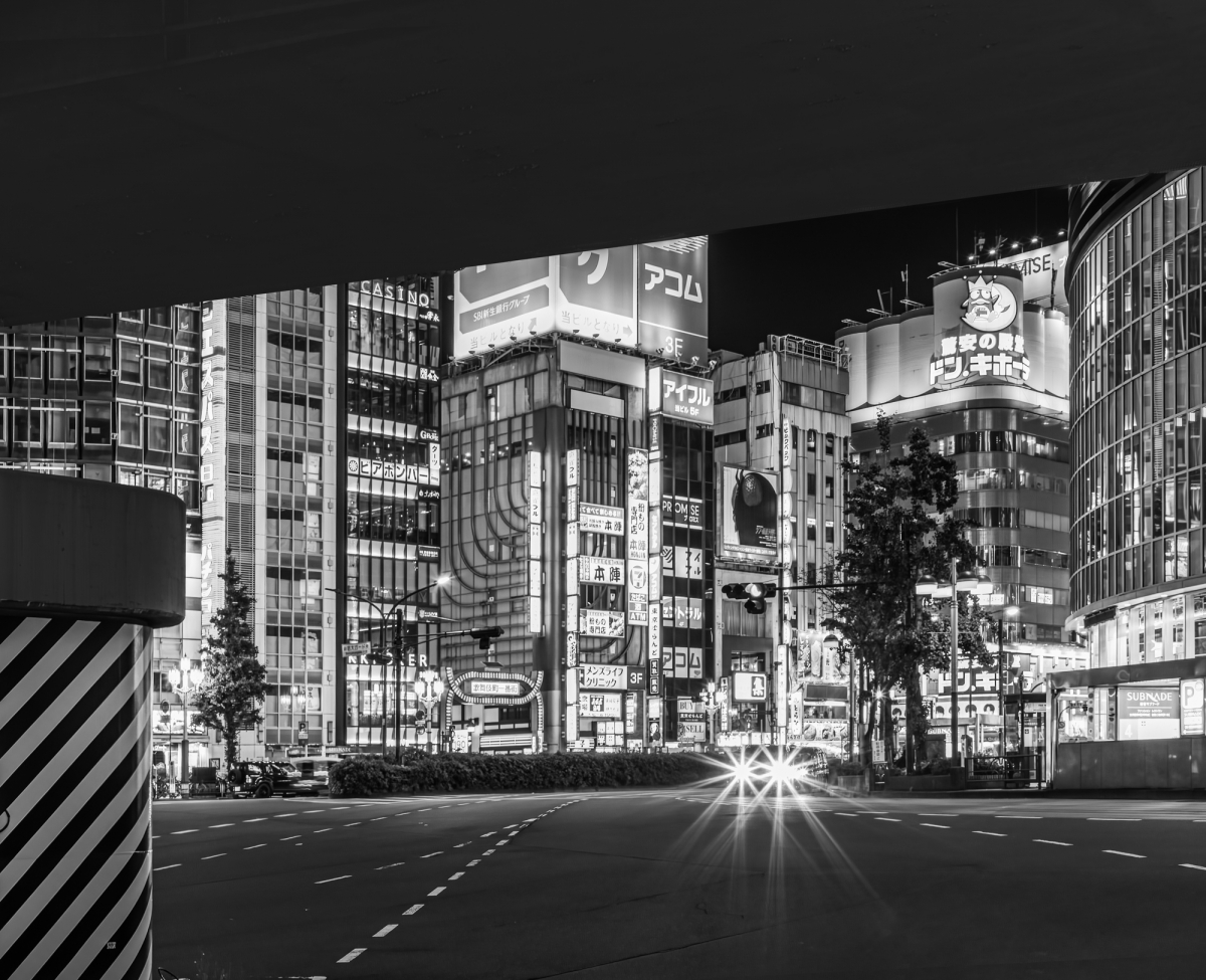 Lights of Tokyo