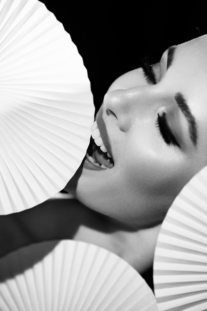 The Fan