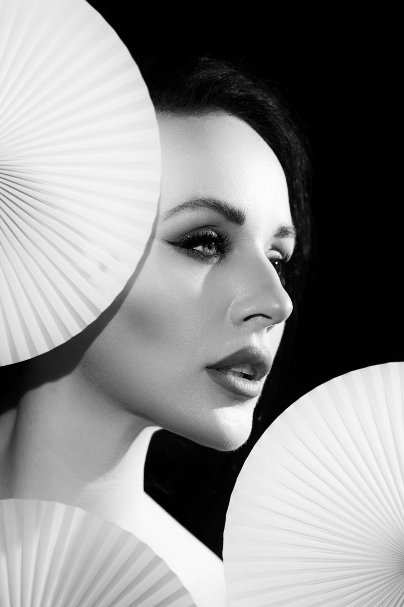 The Fan