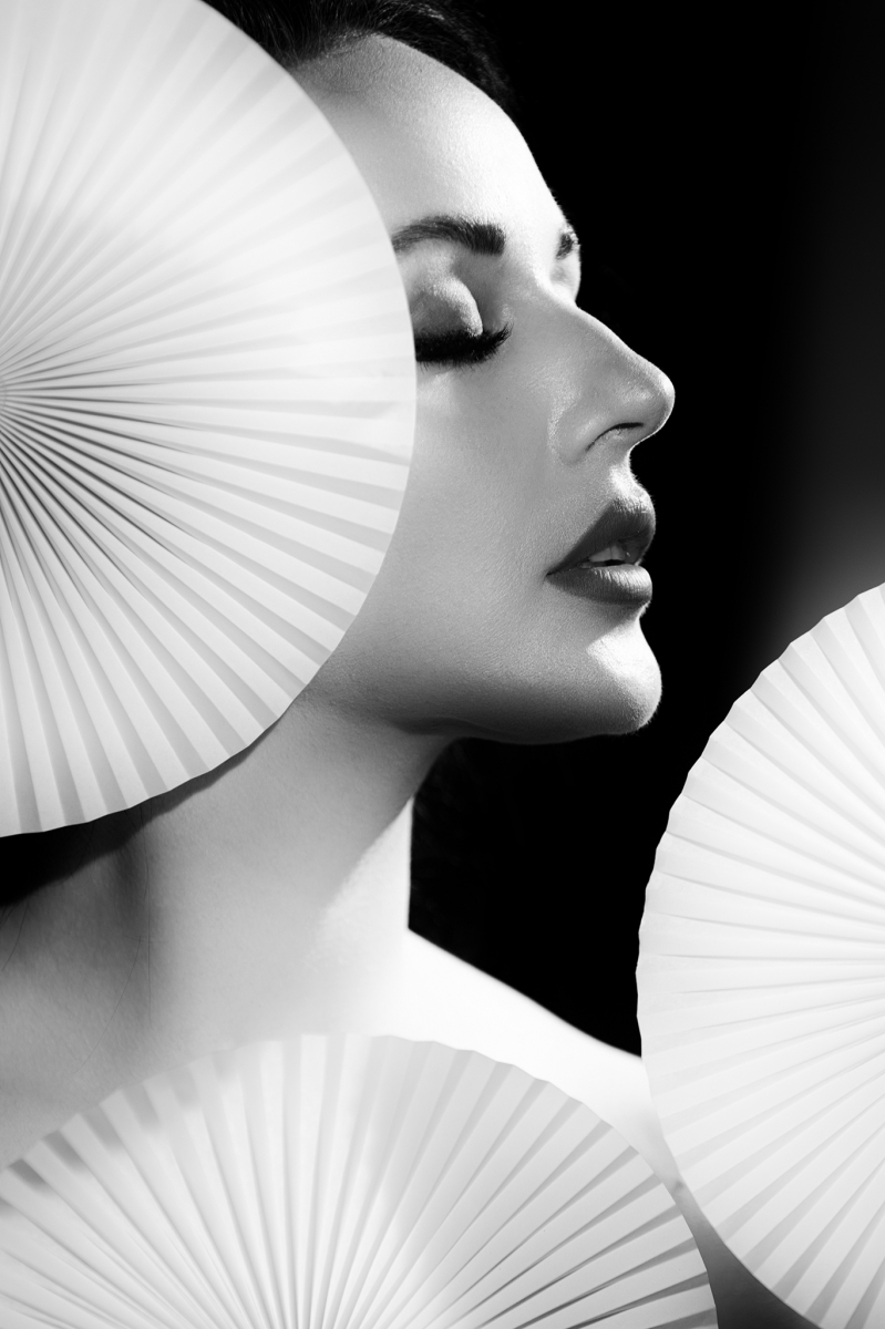The Fan