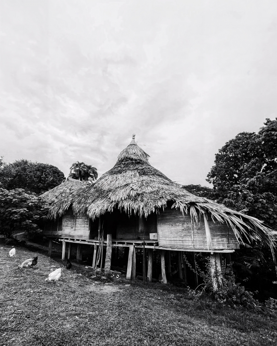 Olympus: ancestral life in the jungle