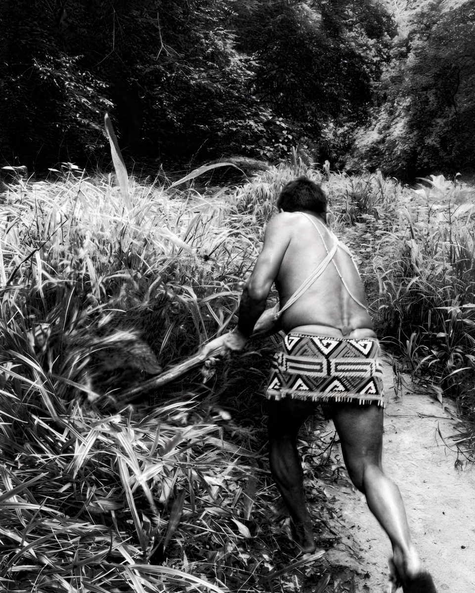 Olympus: ancestral life in the jungle