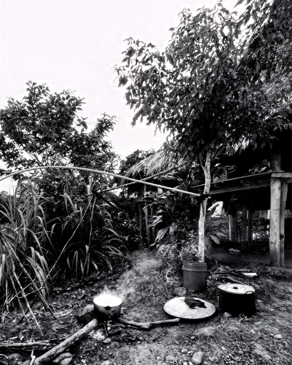Olympus: ancestral life in the jungle