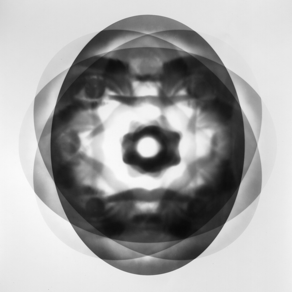 Self-portraits, Gelatin Silver Prints