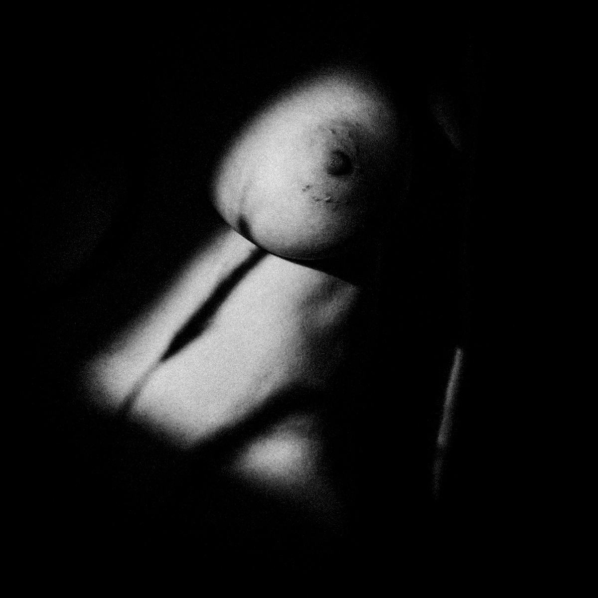 Parts of beauty