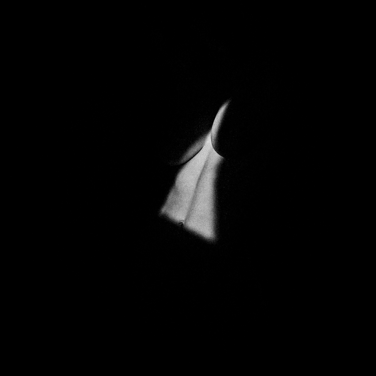 Parts of beauty