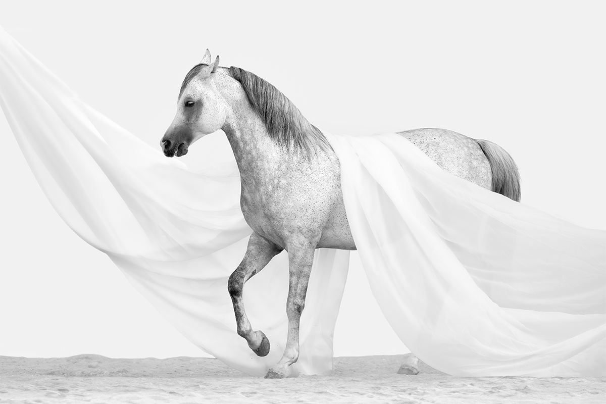 Pure White