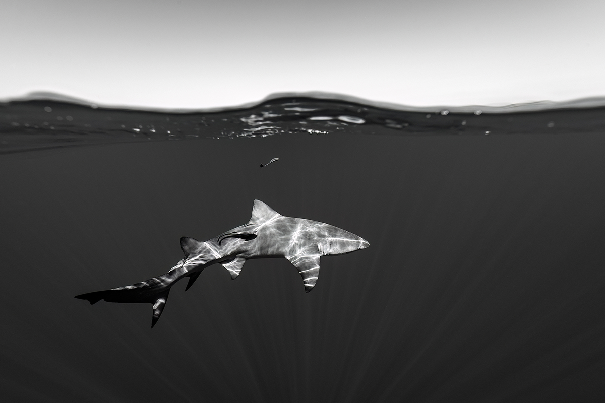 Beneath The Surface