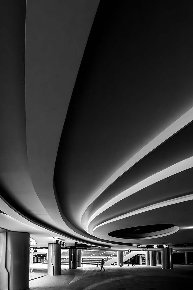 The beauty of lines
