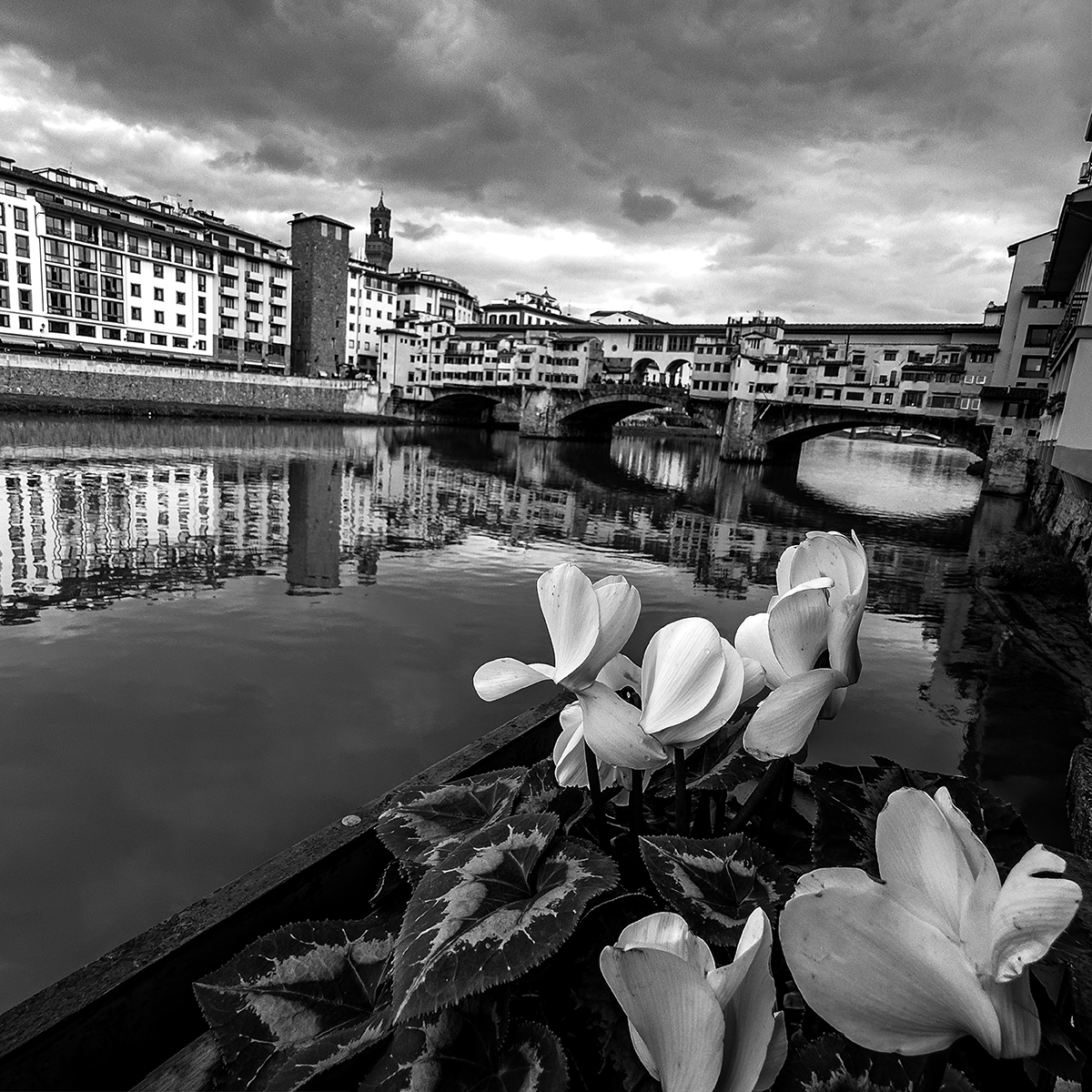 Florentine Shadows: A Winter's Tale