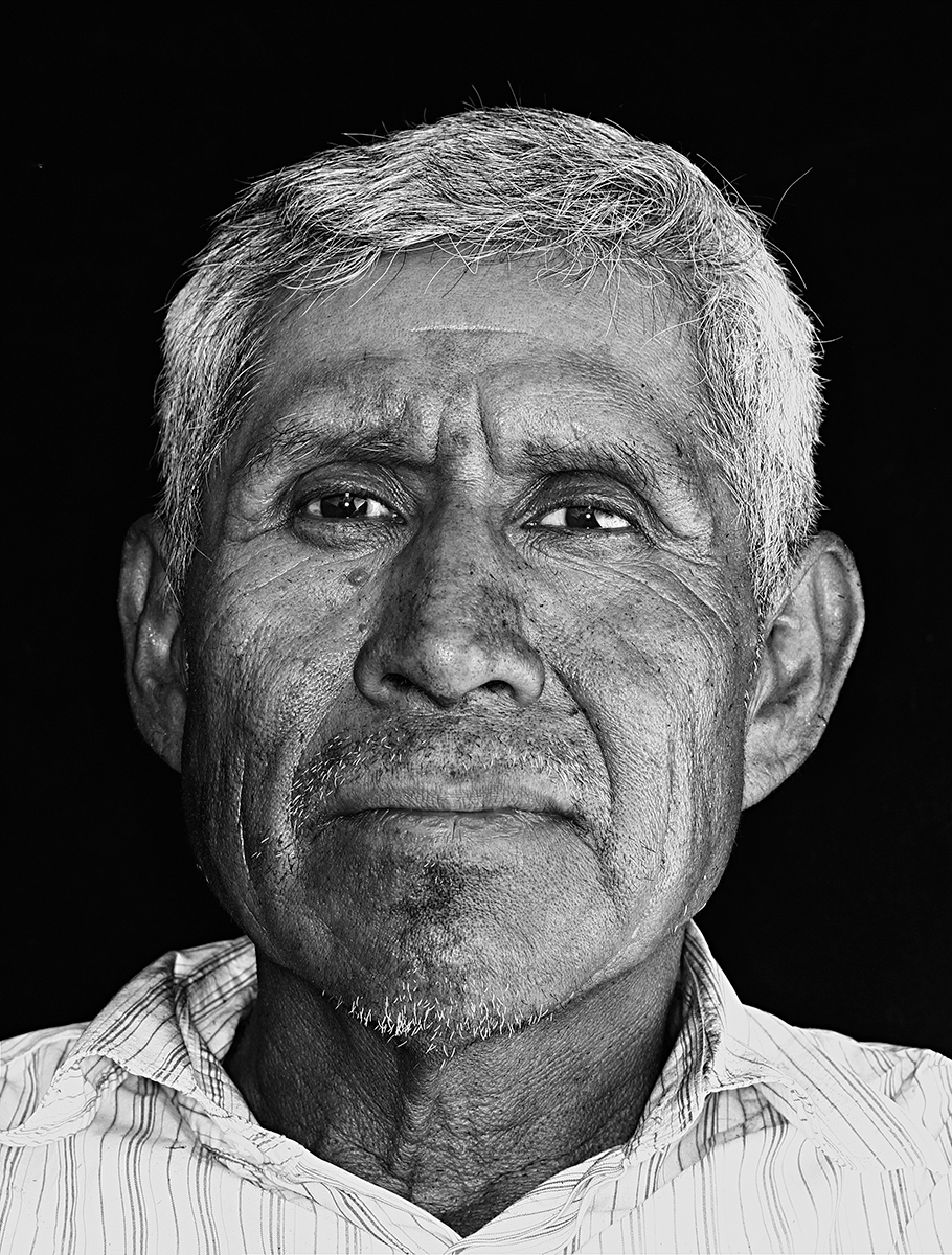 Sugar Cane Heroes