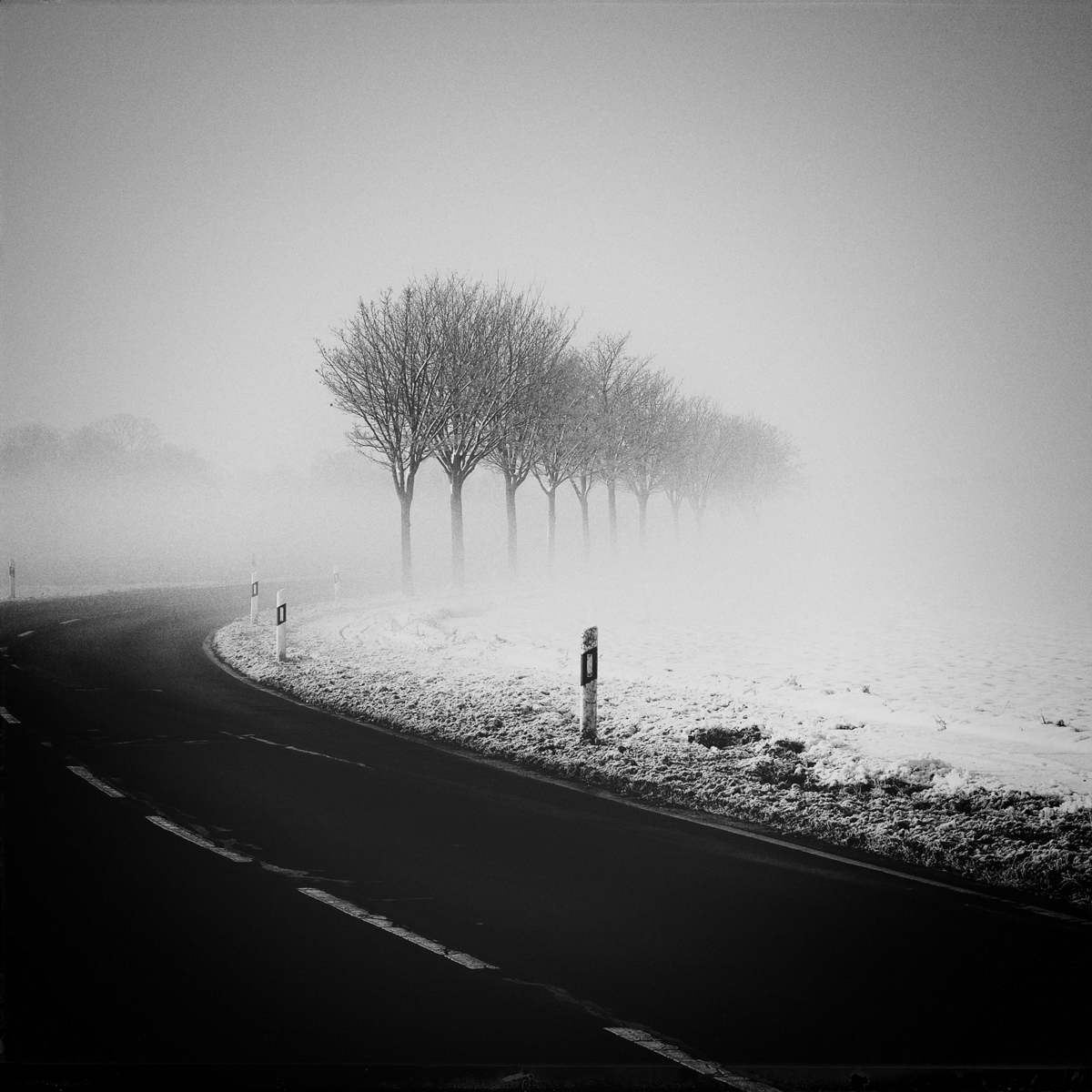 Winter Street