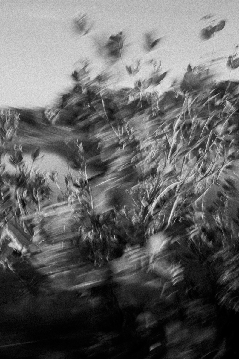 Glimpse