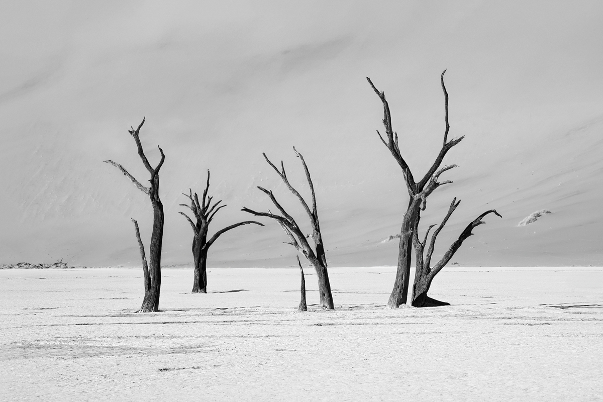Dust, elegance, time