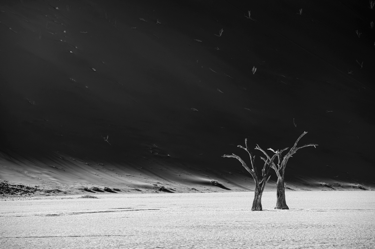Dust, elegance, time