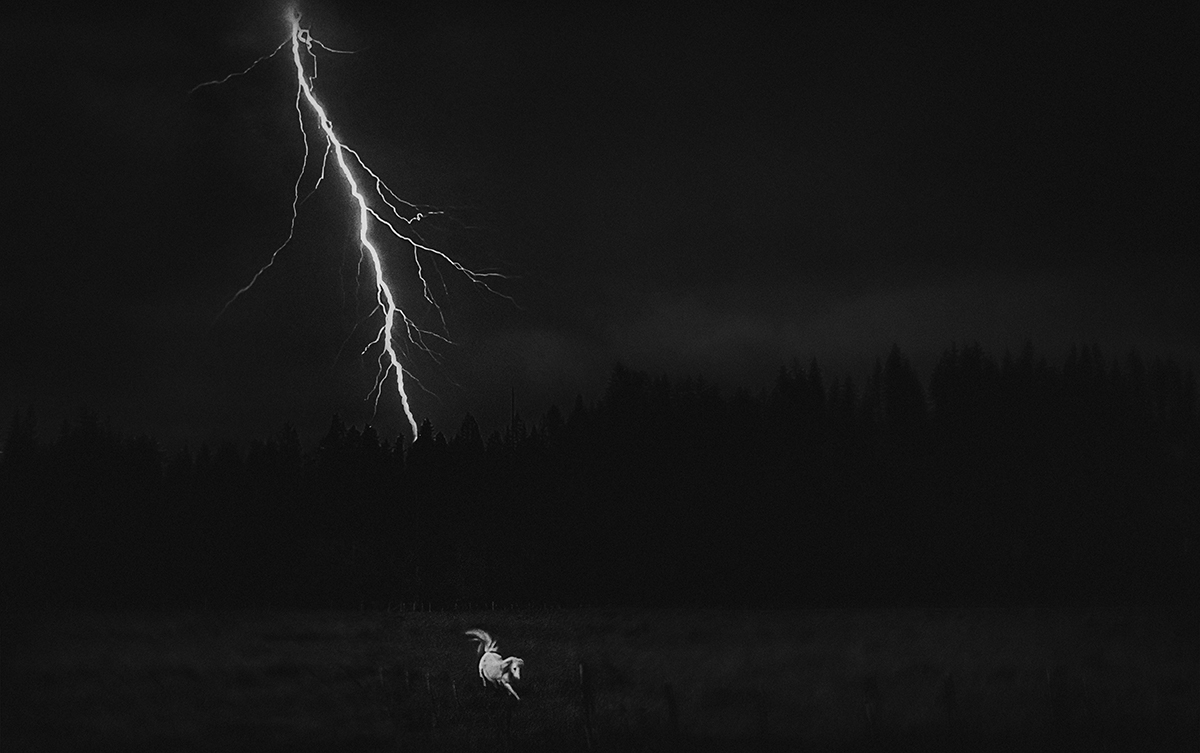 White Lightning 
