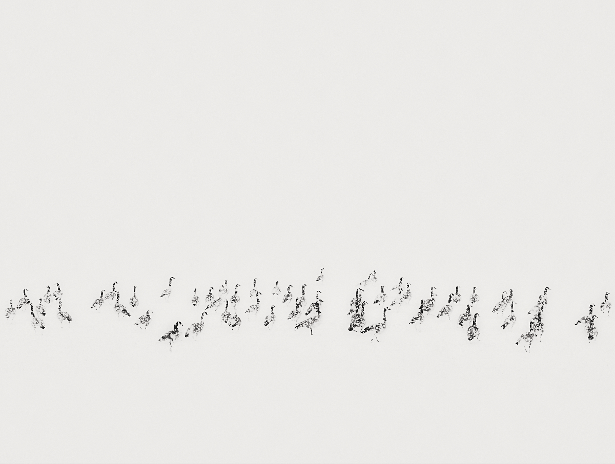 March In Silence 