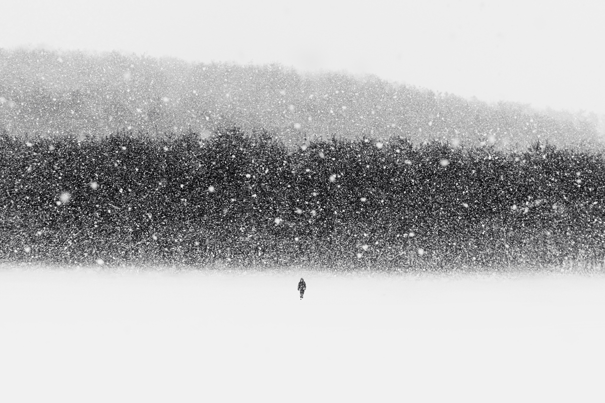 Snowy Day
